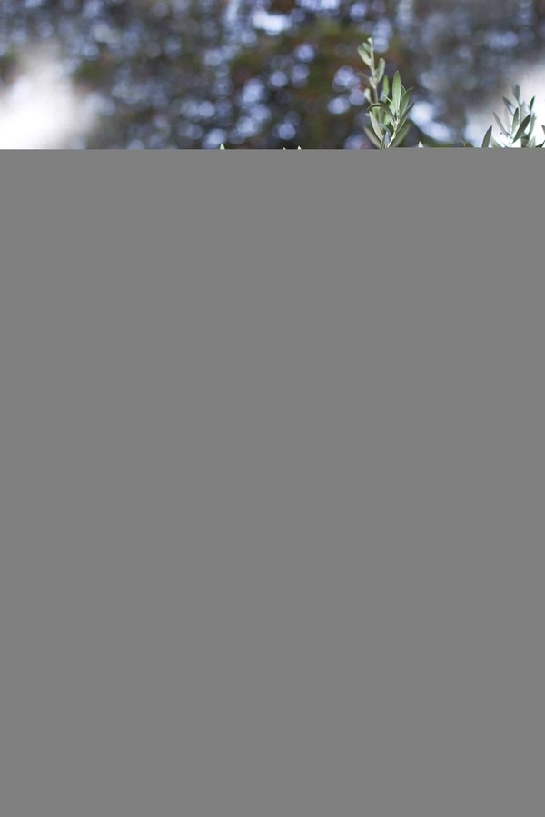 Les techniques de création d'ambiance dans la littérature : comment les mots engendrent des atmosphères uniques