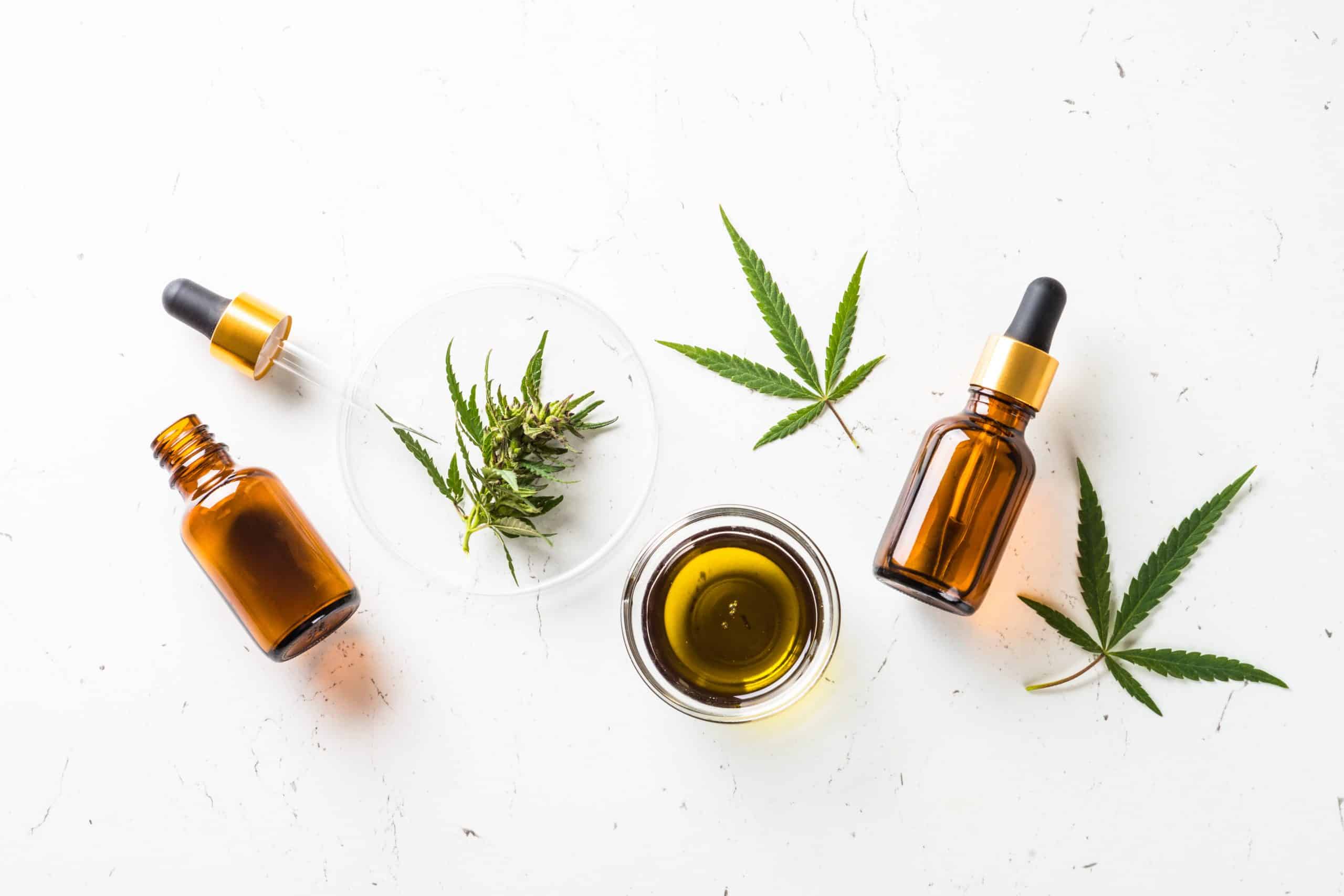 Quels sont les bienfaits des Huiles CBD Bio de haute qualité ?